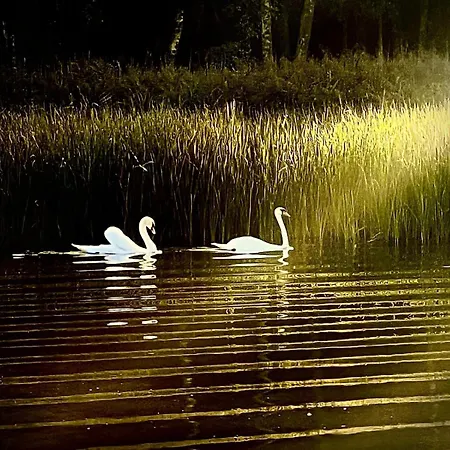 Charzykowskie Tarasy Lejlighed