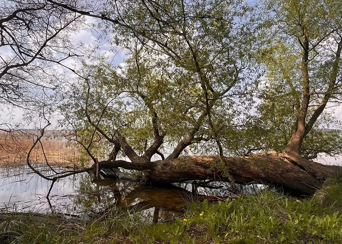 Charzykowskie Tarasy