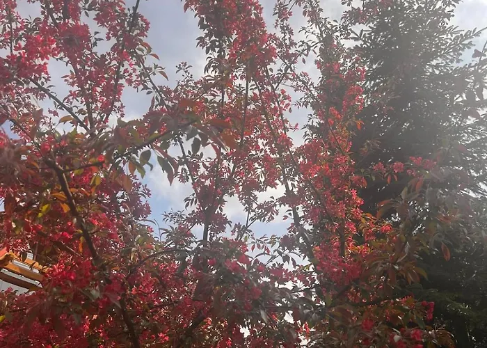 Charzykowskie Tarasy شقة