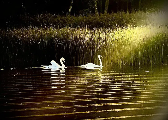 Charzykowskie Tarasy Apartman